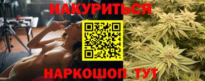 Альфа ПВП Краснознаменск