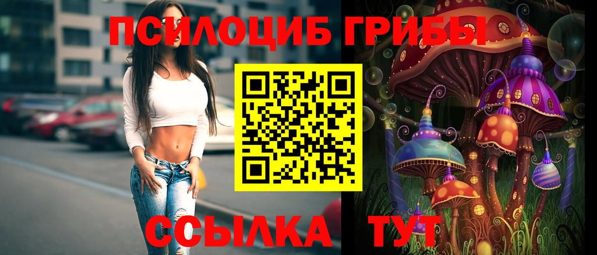 Галлюциногенные грибы MAGIC MUSHROOMS  Вход с VPN  Кисловодск 