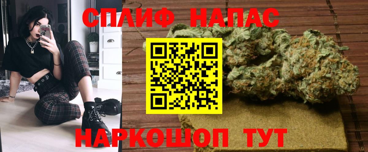 Каннабис план Кисловодск